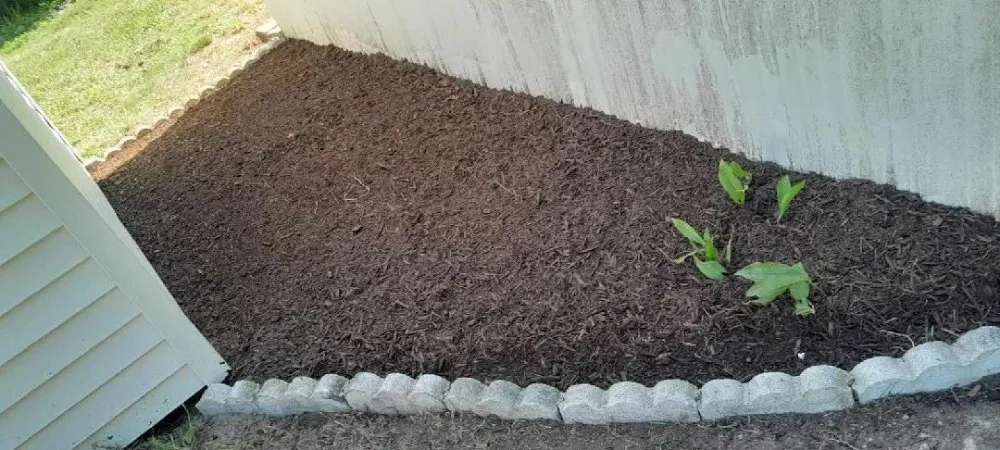 Professional landscape design for outdoor upgrades in Lewes, DE by Francos Landscaping