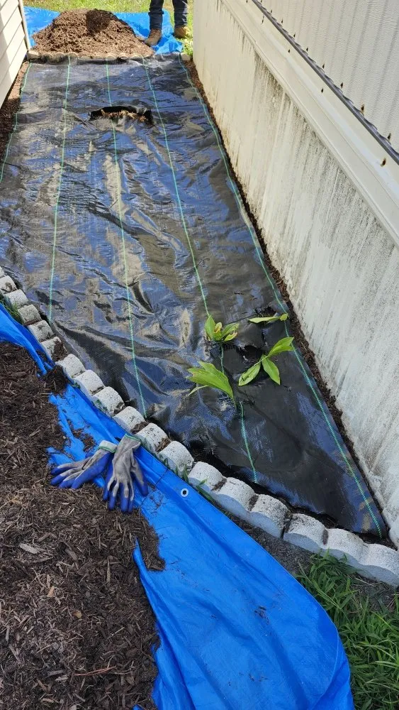 Professional landscape installation with custom design across Lewes, DE - Francos Landscaping