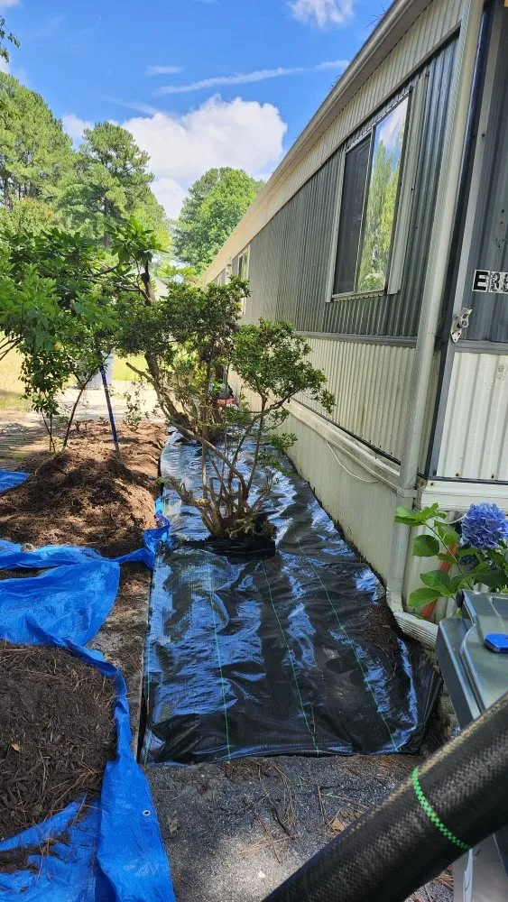 Custom yard cleanup service in Lewes, DE - Francos Landscaping