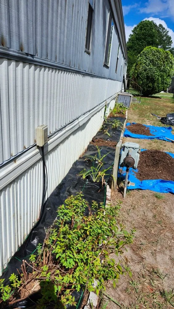 Local residential landscaping for year-round maintenance across Lewes, DE - Francos Landscaping