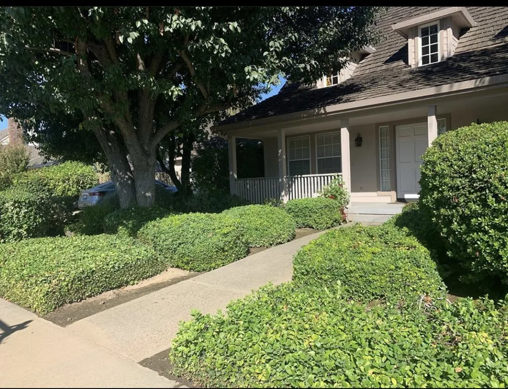Trusted residential landscaping for year-round maintenance in Stockton, CA by Franco’s Landscaping