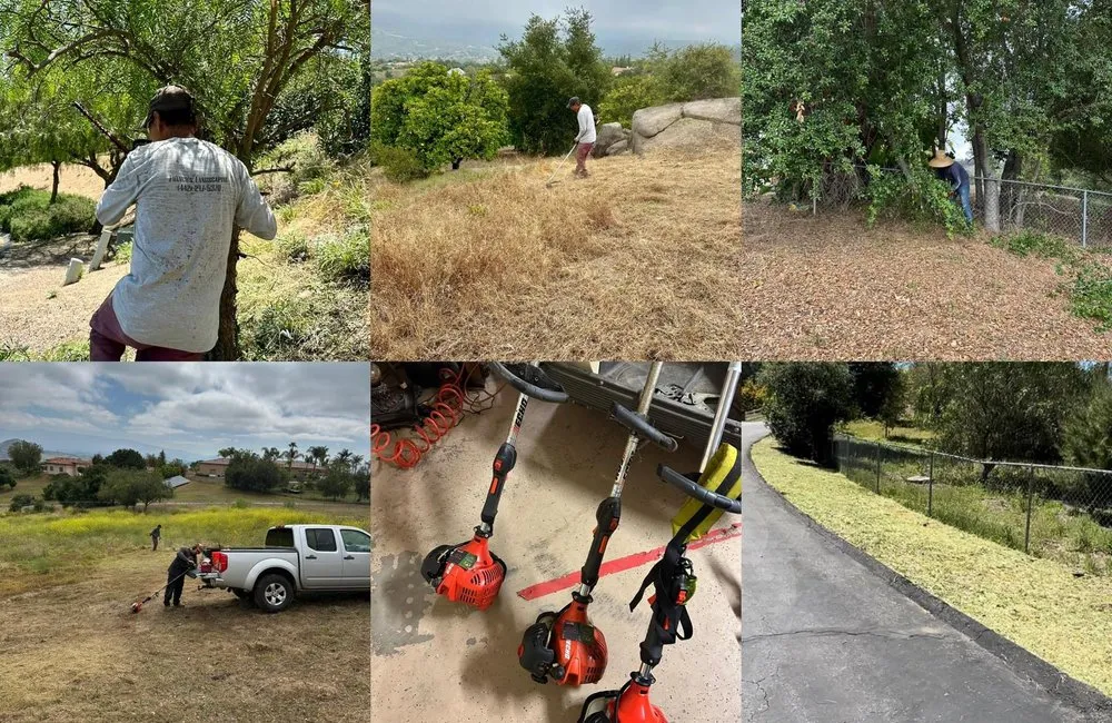 Top-rated garden landscaping near you across Valley Center, CA - Franco’s Landscaping