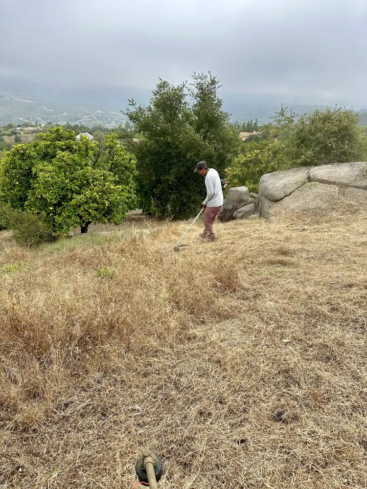 Expert lawn mowing service near you across Valley Center, CA - Franco’s Landscaping