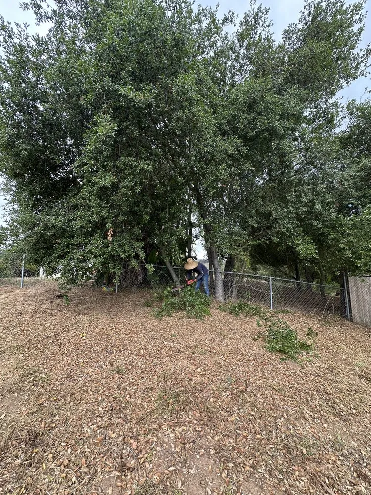 Affordable lawn care service for year-round maintenance in Valley Center, CA by Franco’s Landscaping