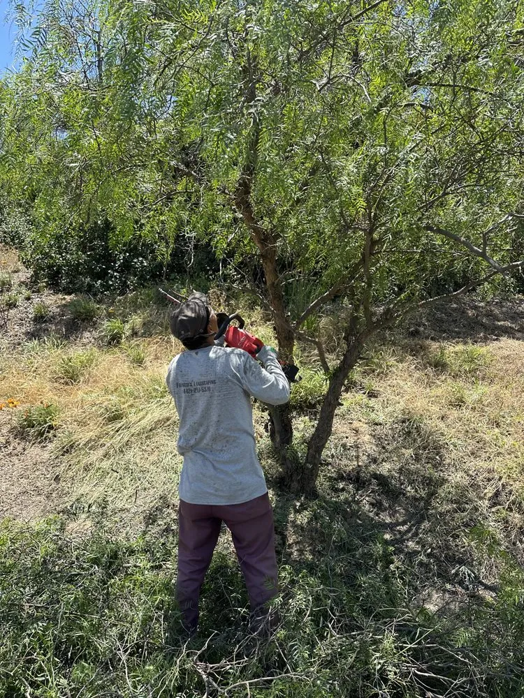 Affordable lawn mowing service for outdoor upgrades in Valley Center, CA by Franco’s Landscaping