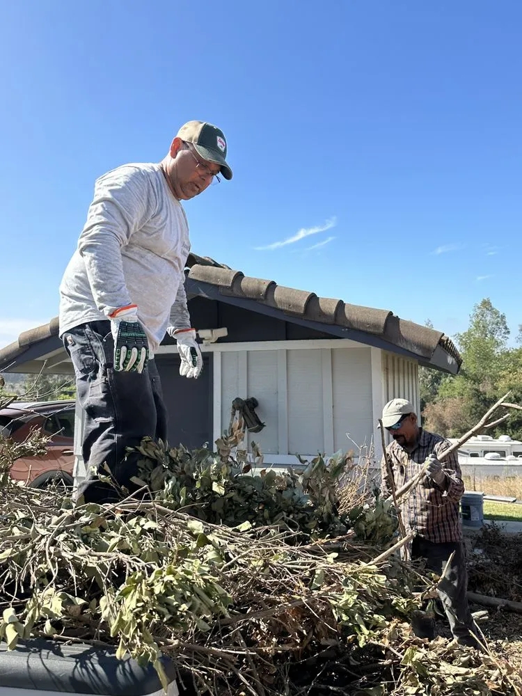 Expert lawn care service in Valley Center, CA - Franco’s Landscaping
