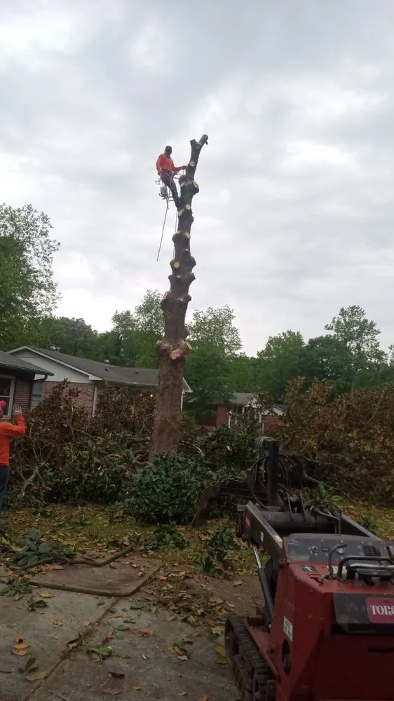 Reliable landscape installation for beautiful yards across Brewster, NY - Franco's Lawn & Tree Service