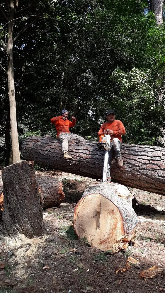 Trusted garden landscaping in Brewster, NY - Franco's Lawn & Tree Service