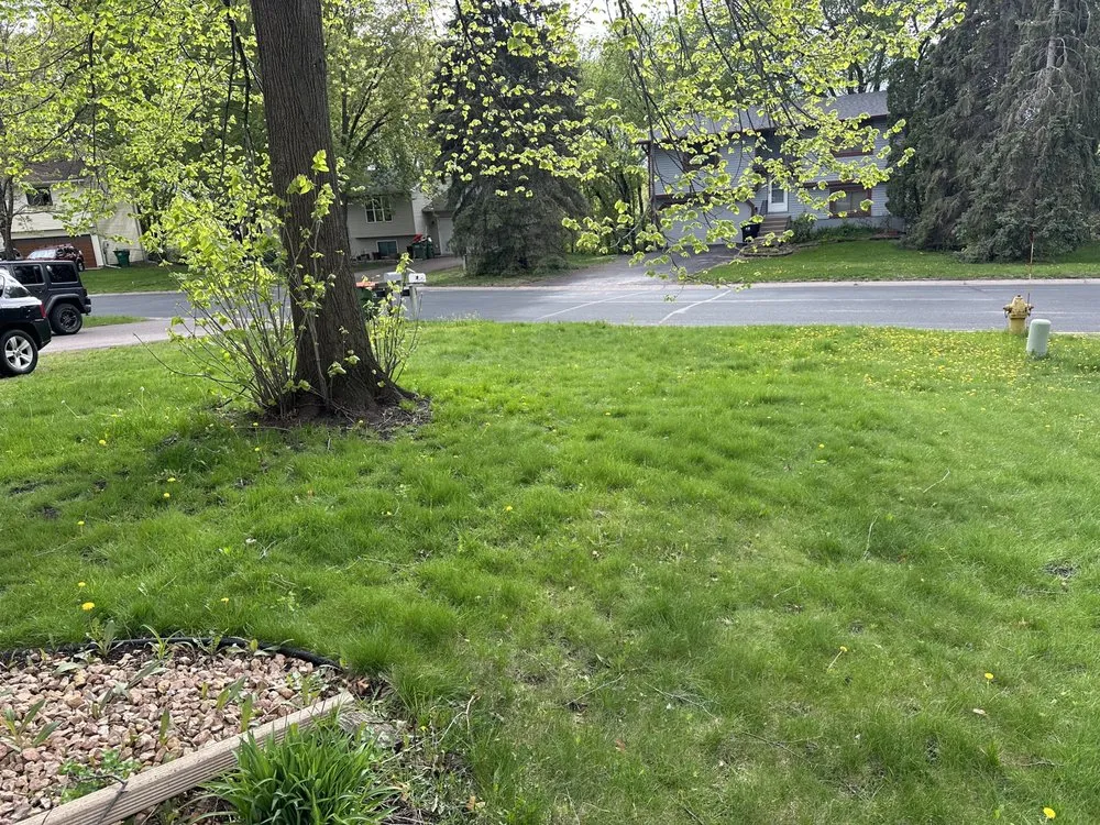 Custom yard cleanup service in Coon Rapids, MN - Franco's Lawn Care