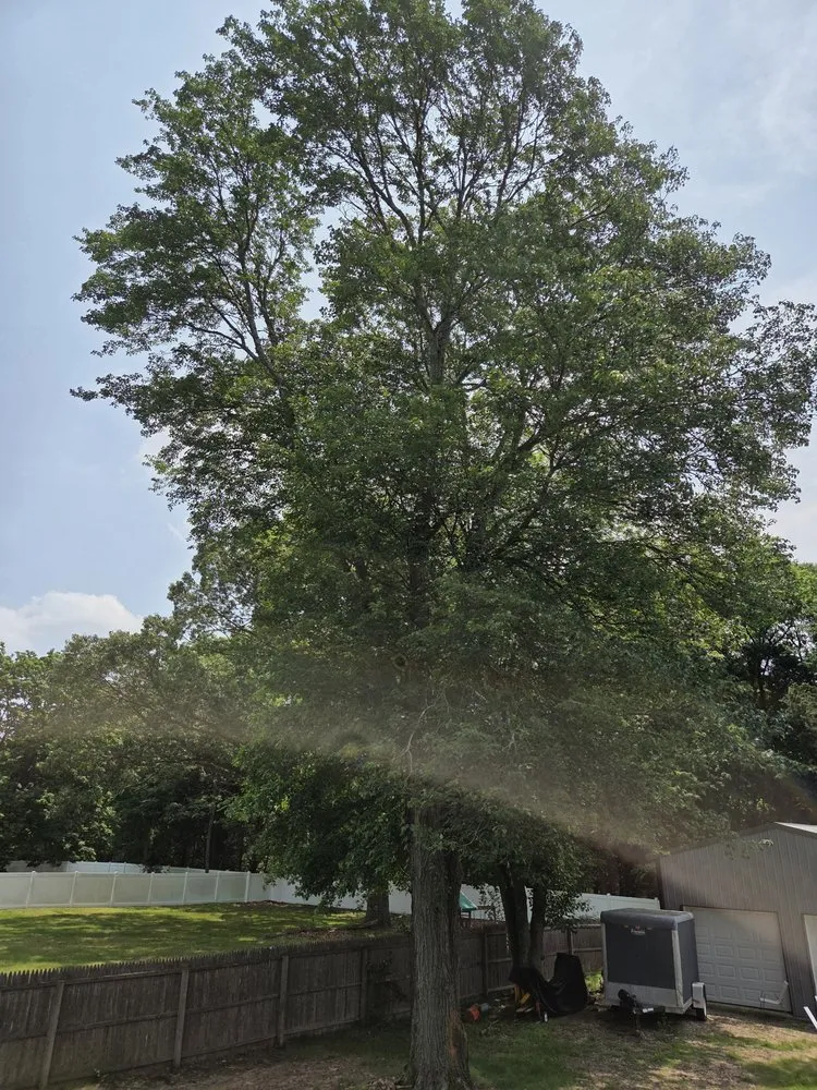 Professional residential landscaping in Blackwood, NJ - Franco's Tree Service