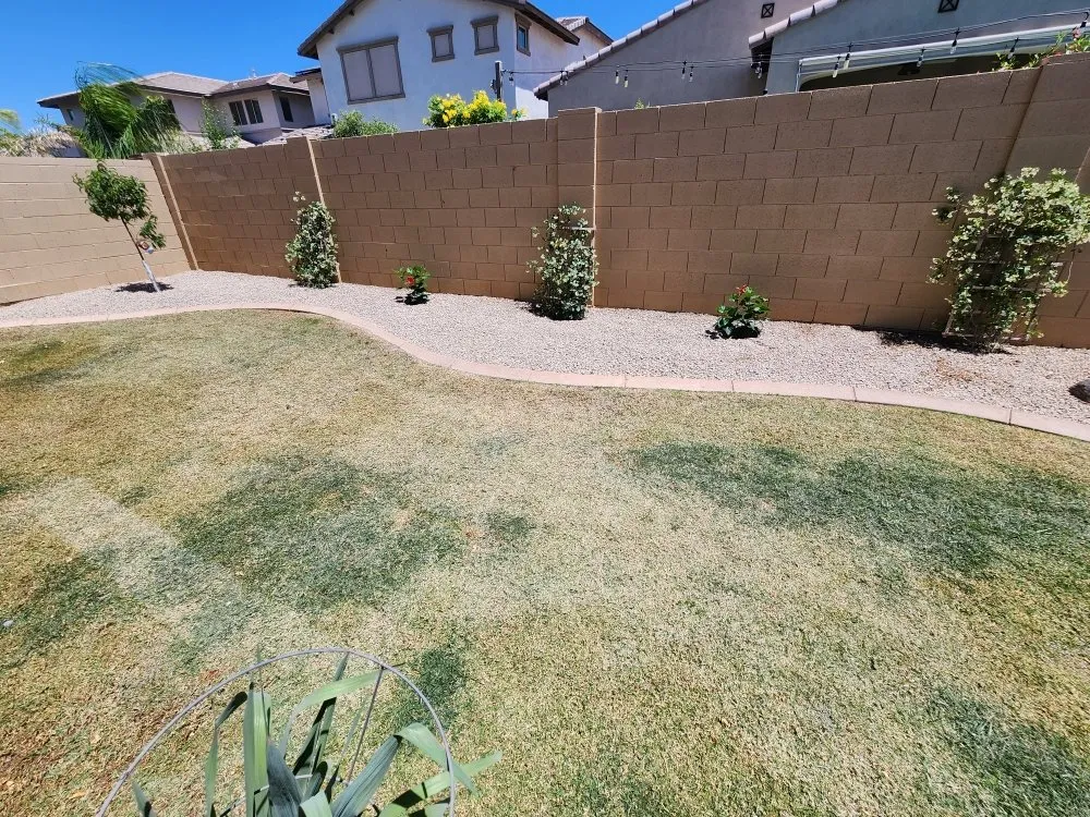Top-rated lawn care service in Mesa, AZ by Francysco Landscaping