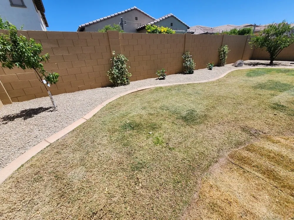 Professional yard maintenance in Mesa, AZ by Francysco Landscaping