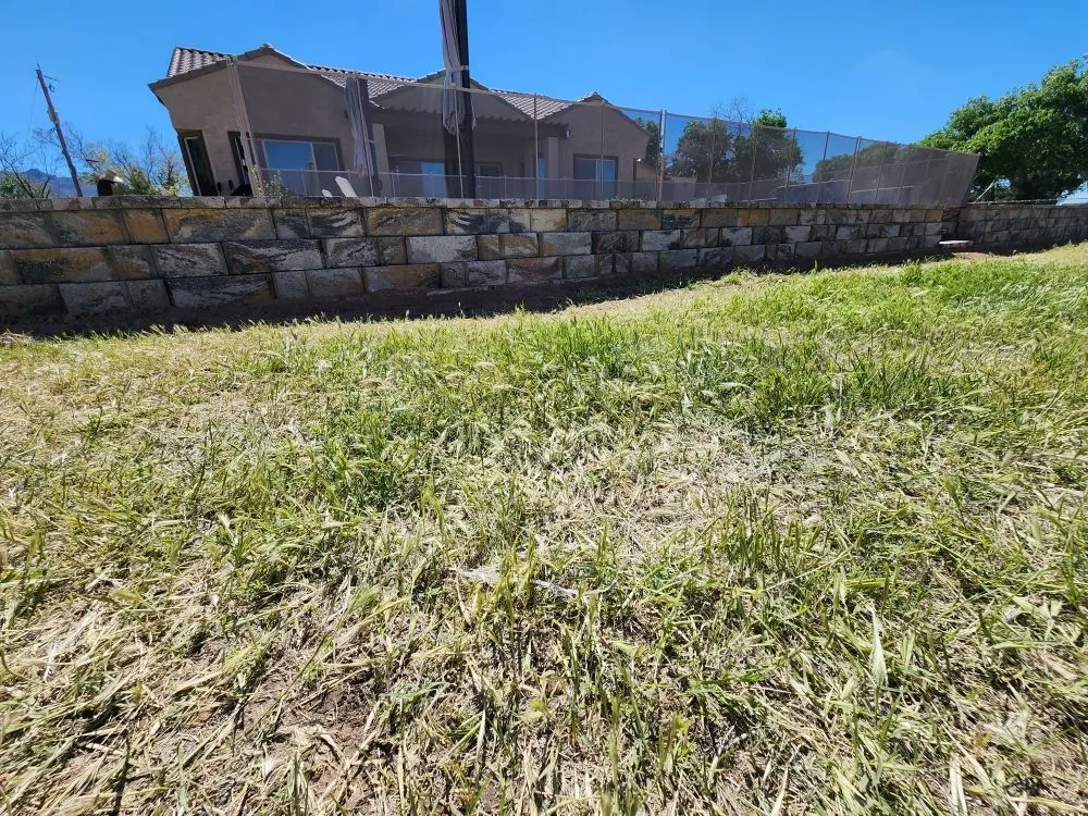 Expert lawn care service for homes across Mesa, AZ - Francysco Landscaping
