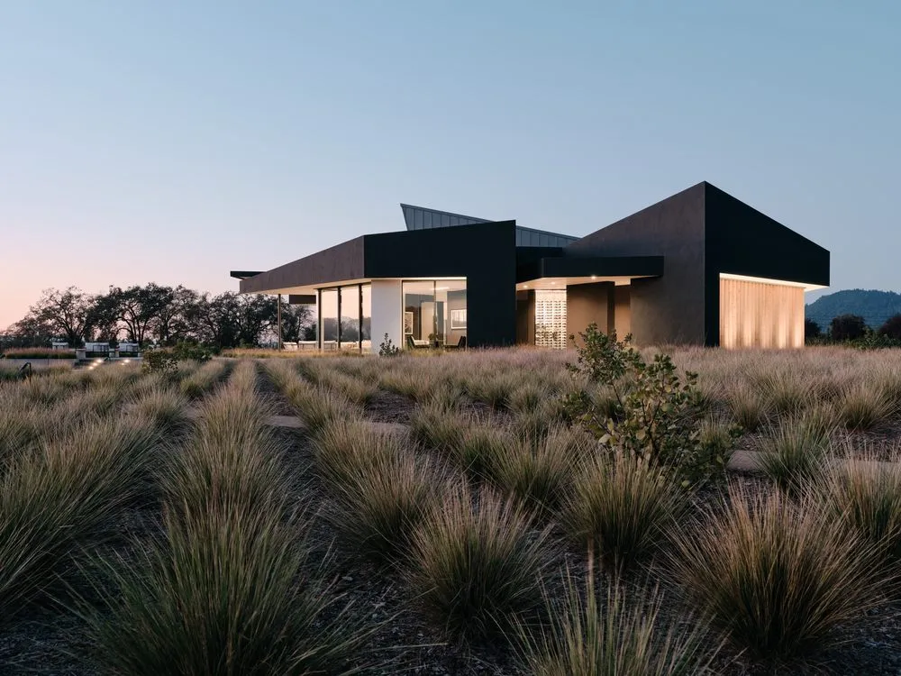 Reliable yard maintenance for outdoor upgrades in Hayward, CA by Frank & Grossman Landscape Contractors