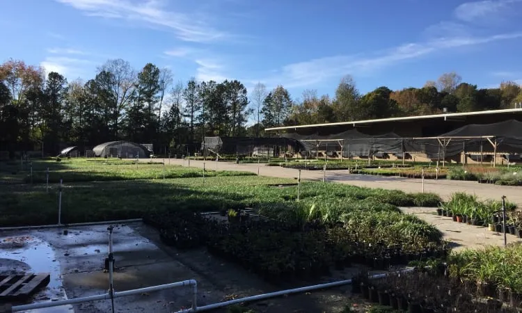 Top-rated landscape installation for year-round maintenance across Marietta, GA - Frank A Smith Nurseries