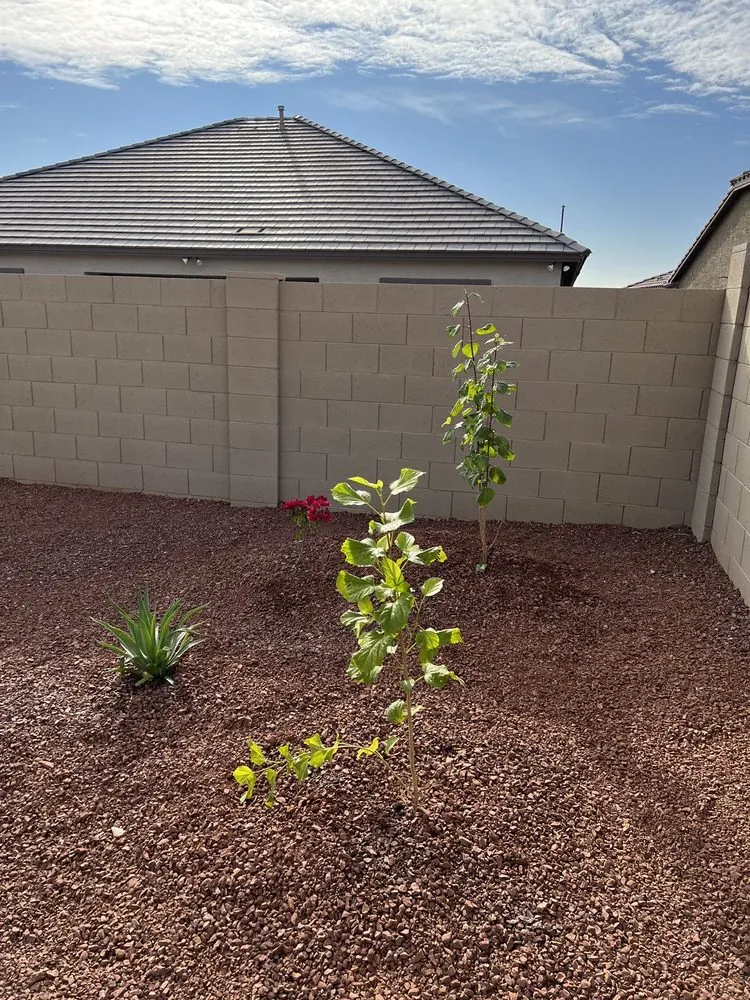 Trusted lawn care service in Buckeye, AZ - Frank And Son Landscaping