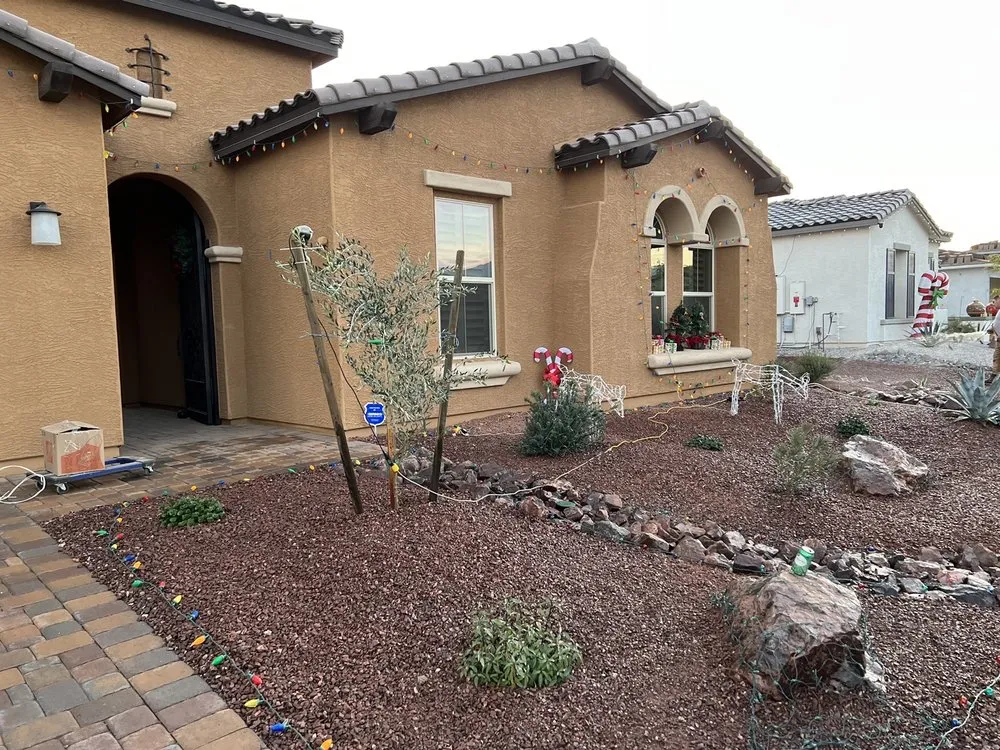Local yard cleanup service near you across Buckeye, AZ - Frank And Son Landscaping