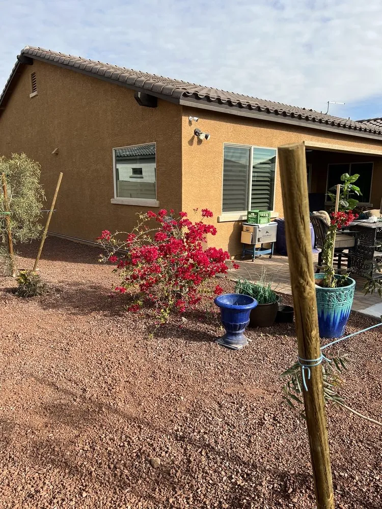 Professional landscape design near you across Buckeye, AZ - Frank And Son Landscaping