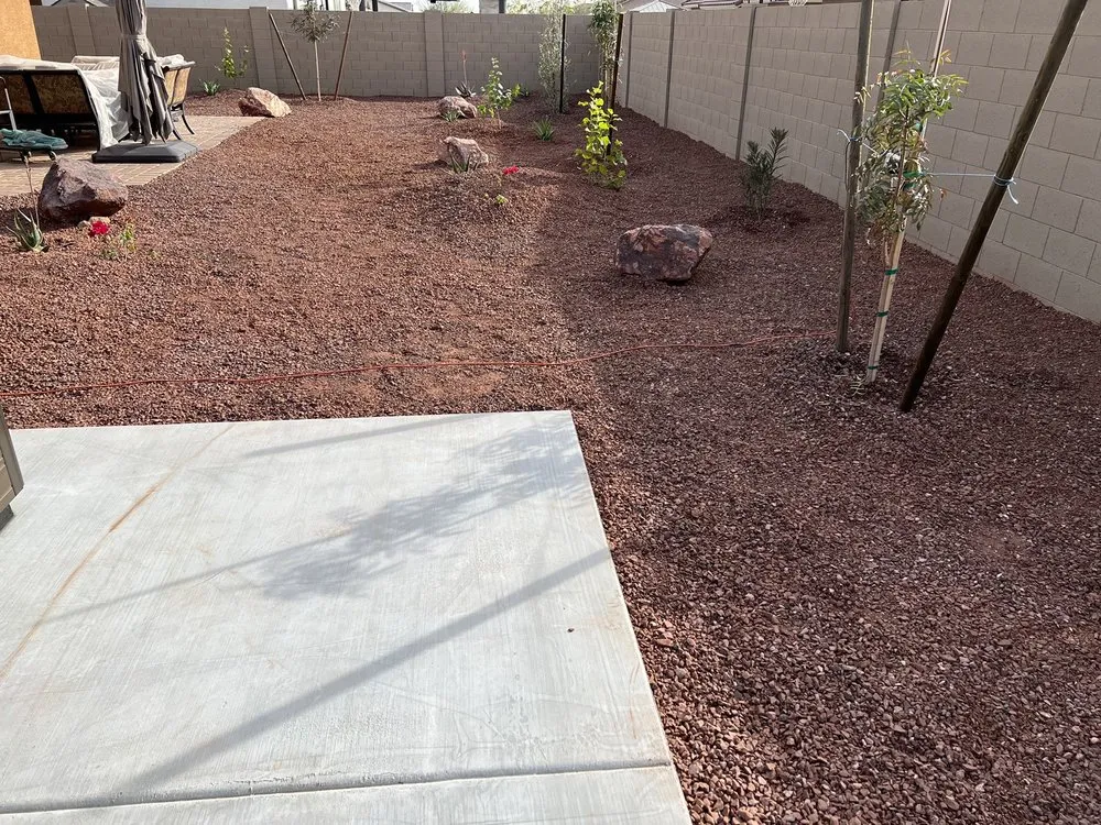 Top-rated yard maintenance in Buckeye, AZ by Frank And Son Landscaping