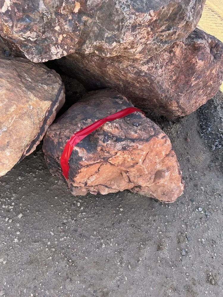 Local landscaping services in Buckeye, AZ - Frank And Son Landscaping