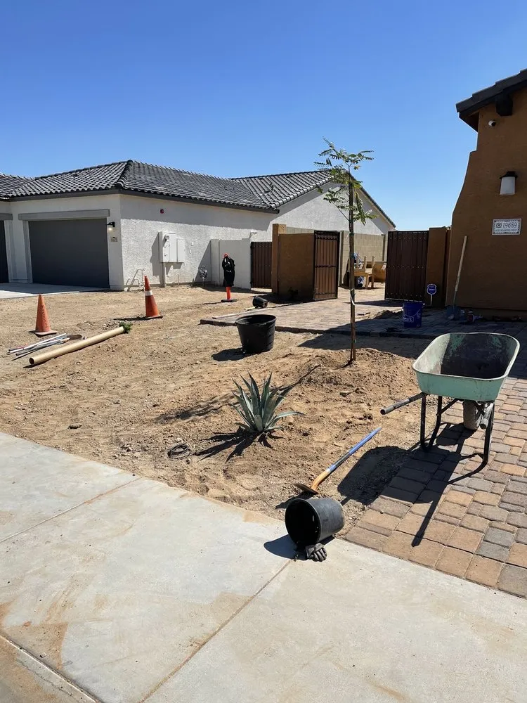 Professional yard cleanup service for homes in Buckeye, AZ by Frank And Son Landscaping