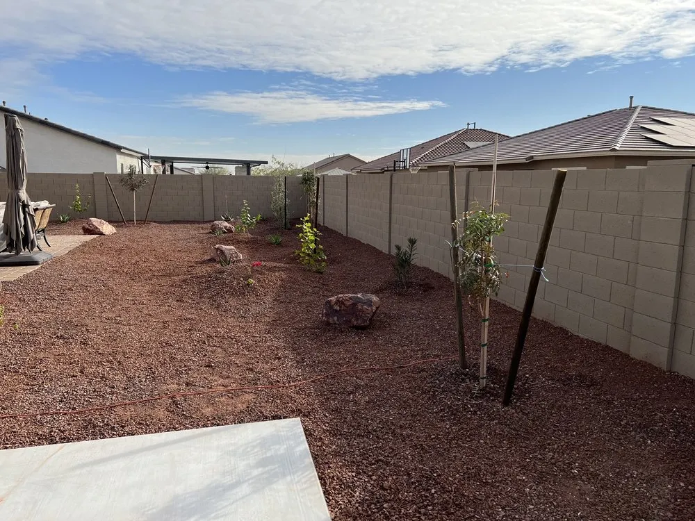 Expert yard cleanup service for year-round maintenance across Buckeye, AZ - Frank And Son Landscaping