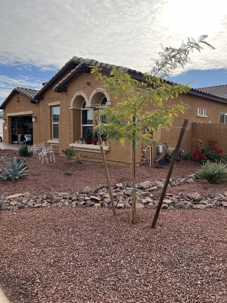 Local yard maintenance experts serving Buckeye, AZ - Frank And Son Landscaping