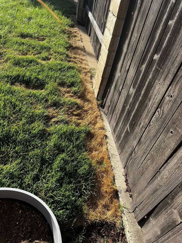 Professional yard cleanup service near you across Corona, CA - Frank and Son’s Landscape