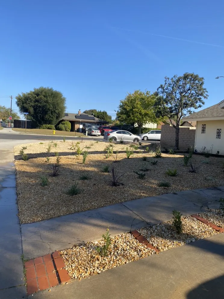 Top-rated yard maintenance in Corona, CA - Frank and Son’s Landscape