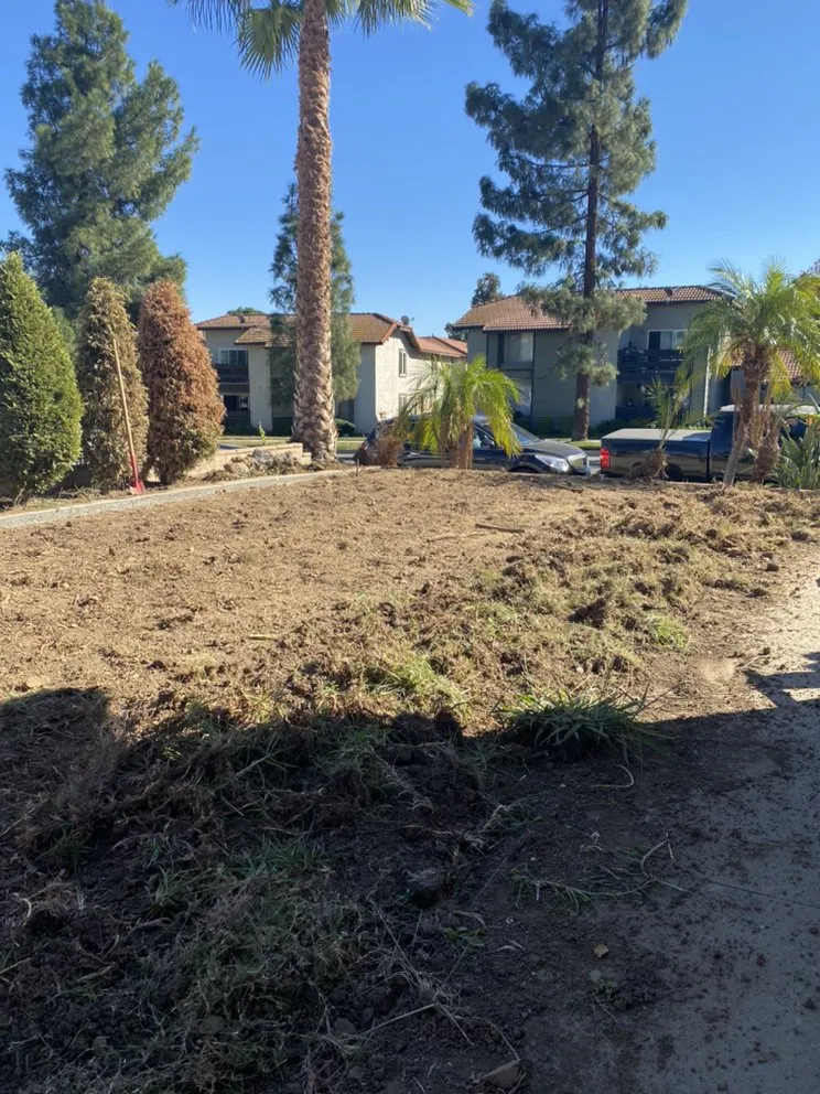 Trusted landscaping services for beautiful yards in Corona, CA by Frank and Son’s Landscape