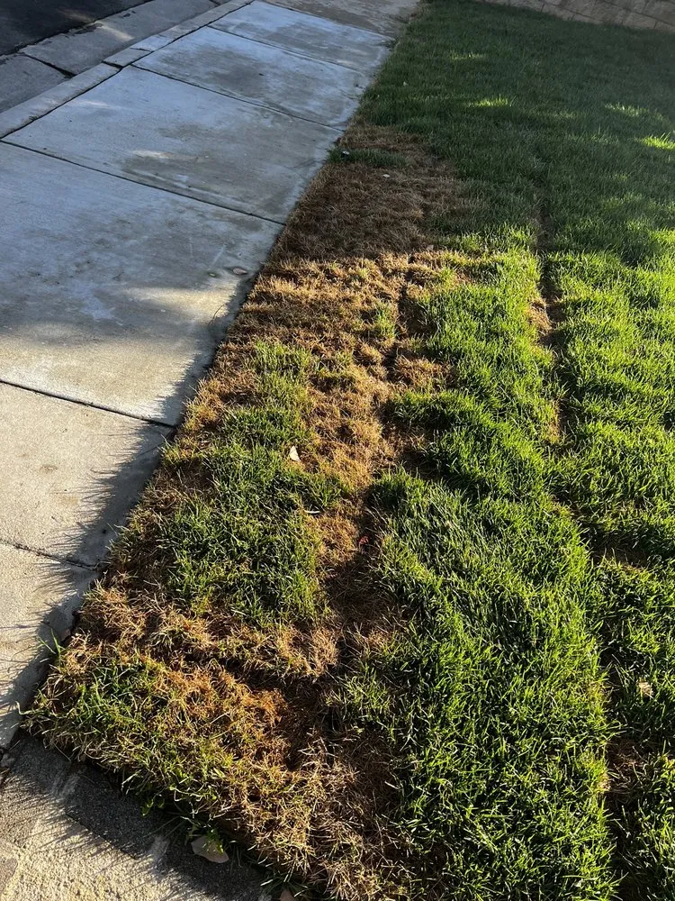 Custom garden landscaping for residential properties in Corona, CA by Frank and Son’s Landscape