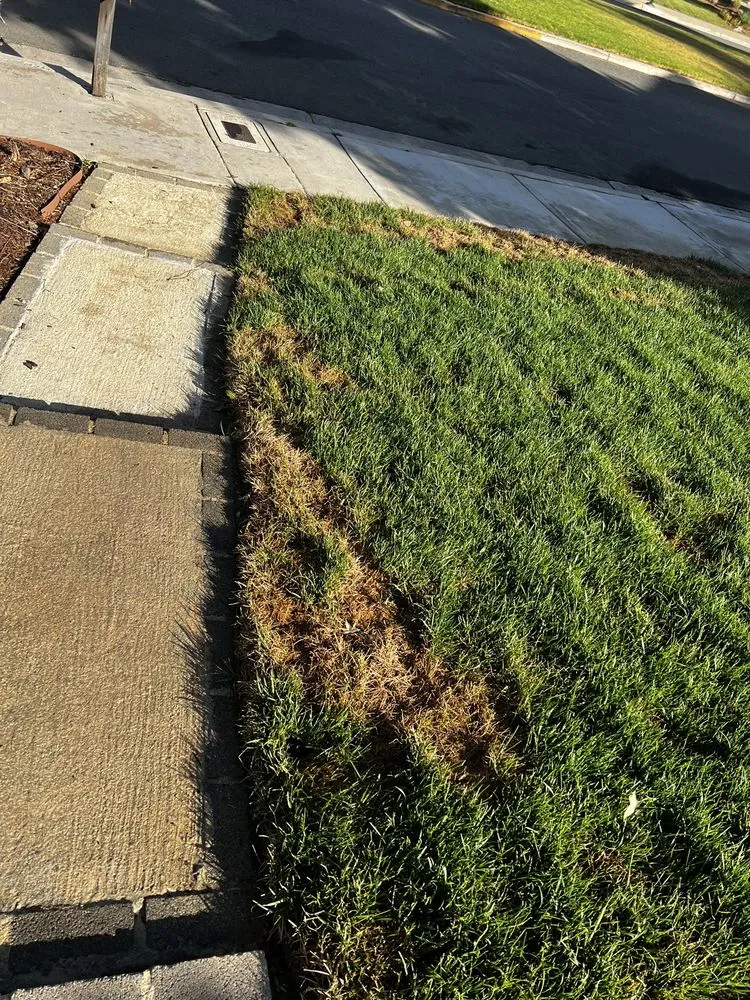 Expert landscape design for outdoor upgrades across Corona, CA - Frank and Son’s Landscape