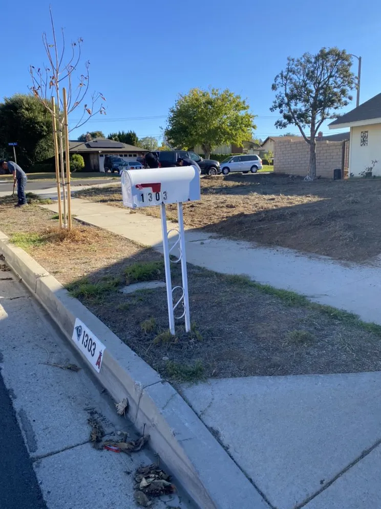 Expert landscape design experts serving Corona, CA - Frank and Son’s Landscape