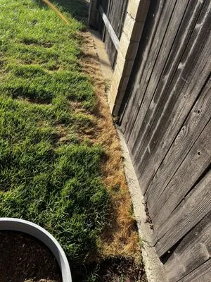 Frank and Son’s Landscape Logo