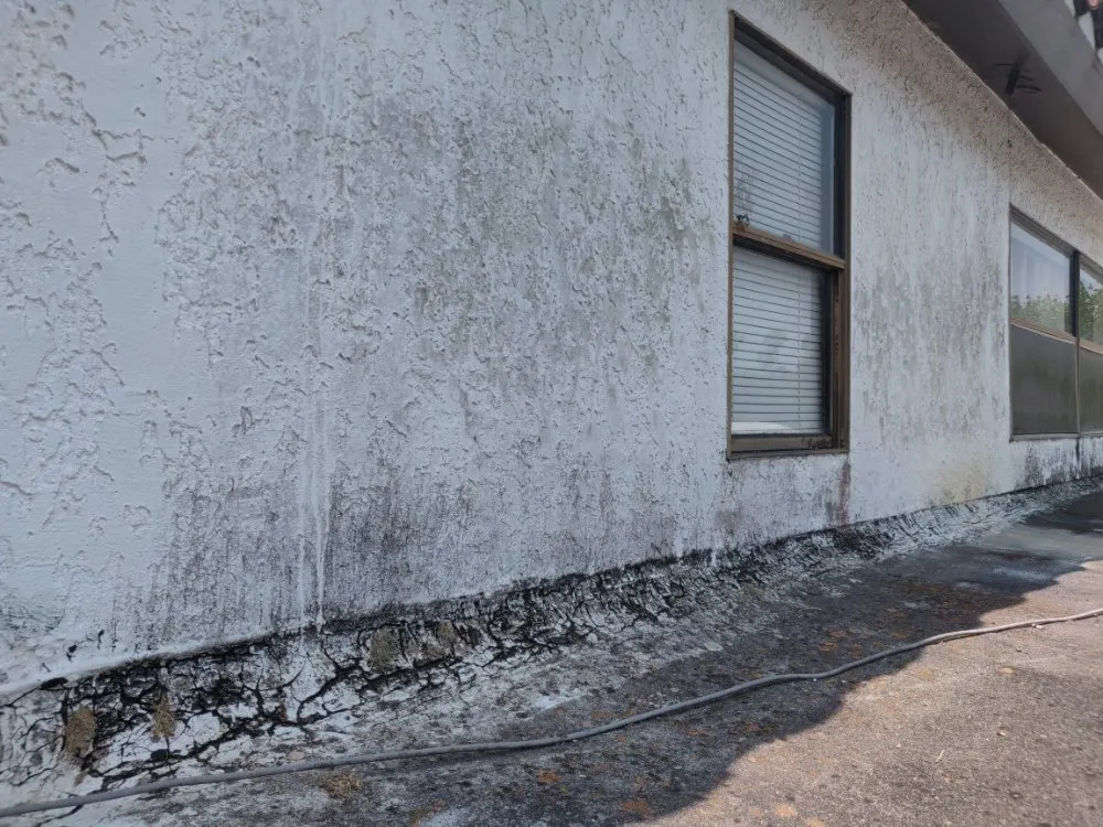 Trusted outdoor landscaping for residential properties in San Benito, TX by Frank and Sylvia's lawn care