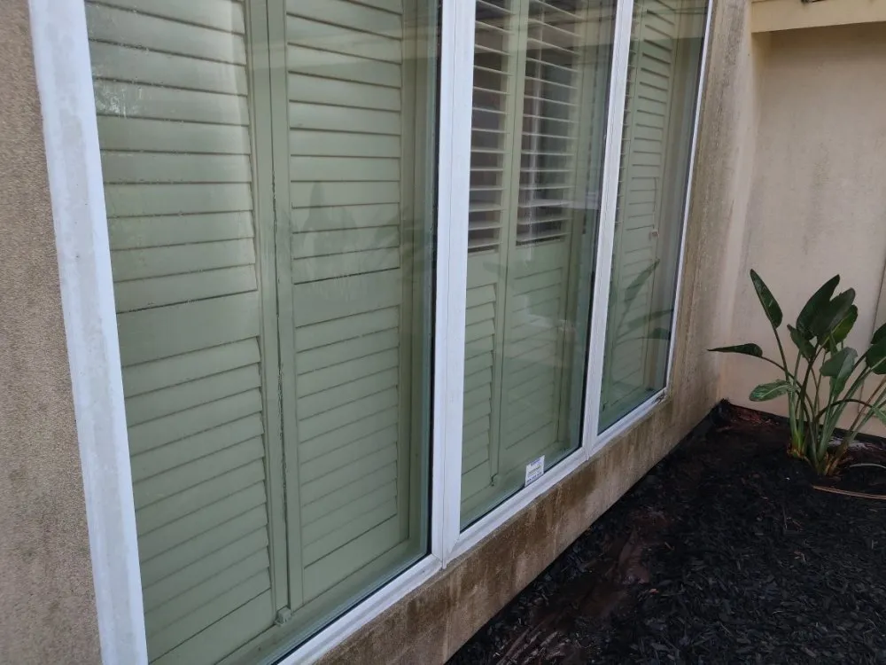 Affordable yard maintenance for year-round maintenance across San Benito, TX - Frank and Sylvia's lawn care