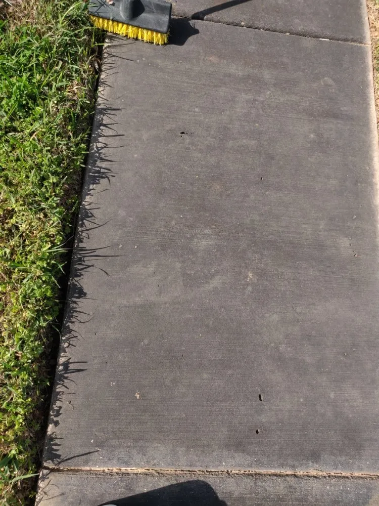 Local landscape design for beautiful yards in San Benito, TX by Frank and Sylvia's lawn care