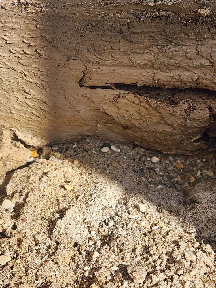 Professional yard cleanup service in Gary, IN by Frank Executives Cuts