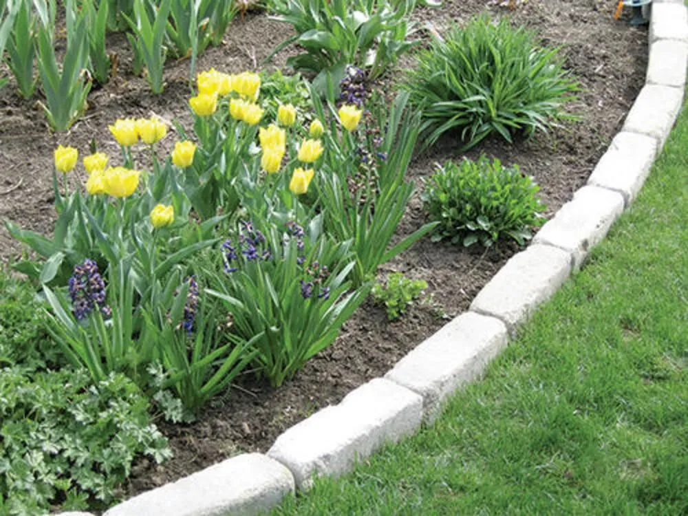 Professional lawn mowing service in Gary, IN - Frank Executives Cuts