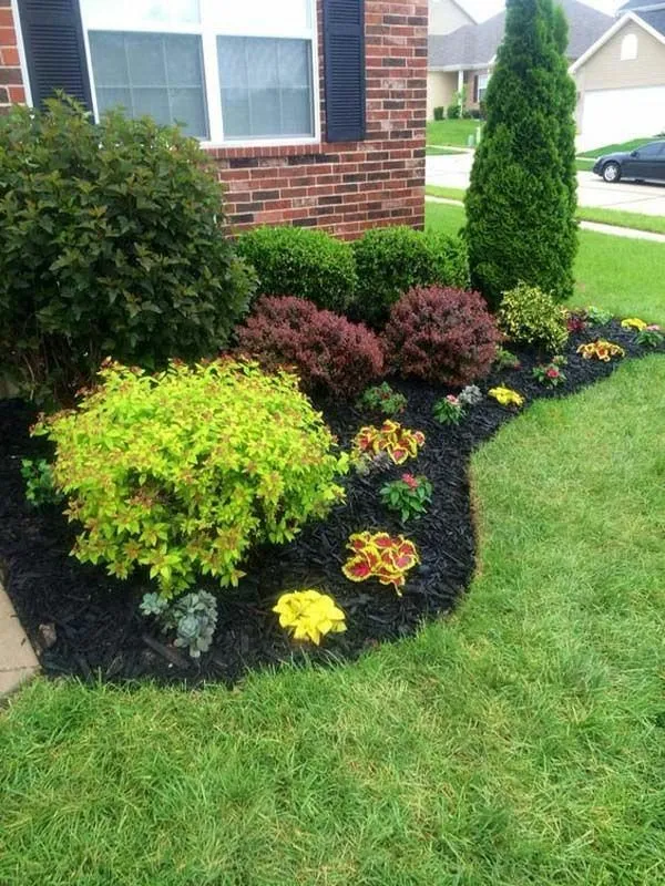 Professional lawn care service in Gary, IN by Frank Executives Cuts