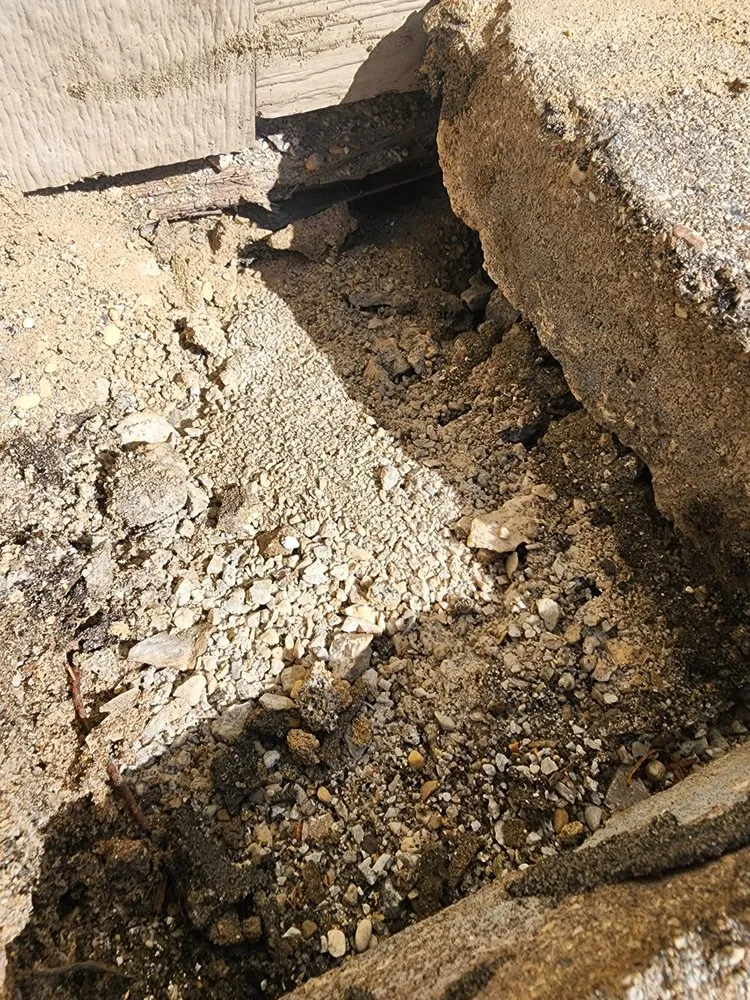 Professional landscape design in Gary, IN by Frank Executives Cuts