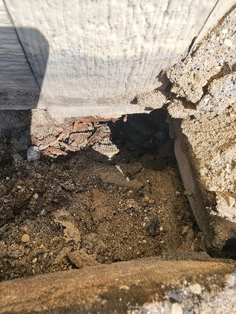 Trusted lawn care service with custom design in Gary, IN by Frank Executives Cuts