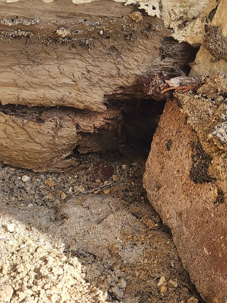 Local yard maintenance with custom design across Gary, IN - Frank Executives Cuts