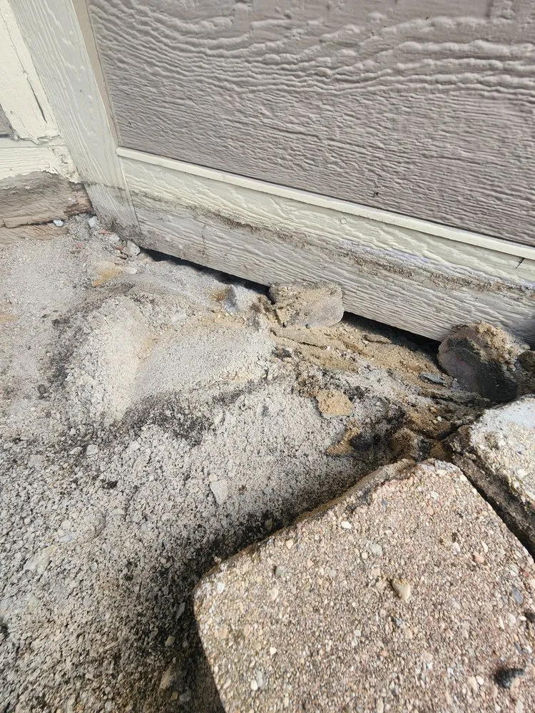 Professional yard maintenance in Gary, IN by Frank Executives Cuts