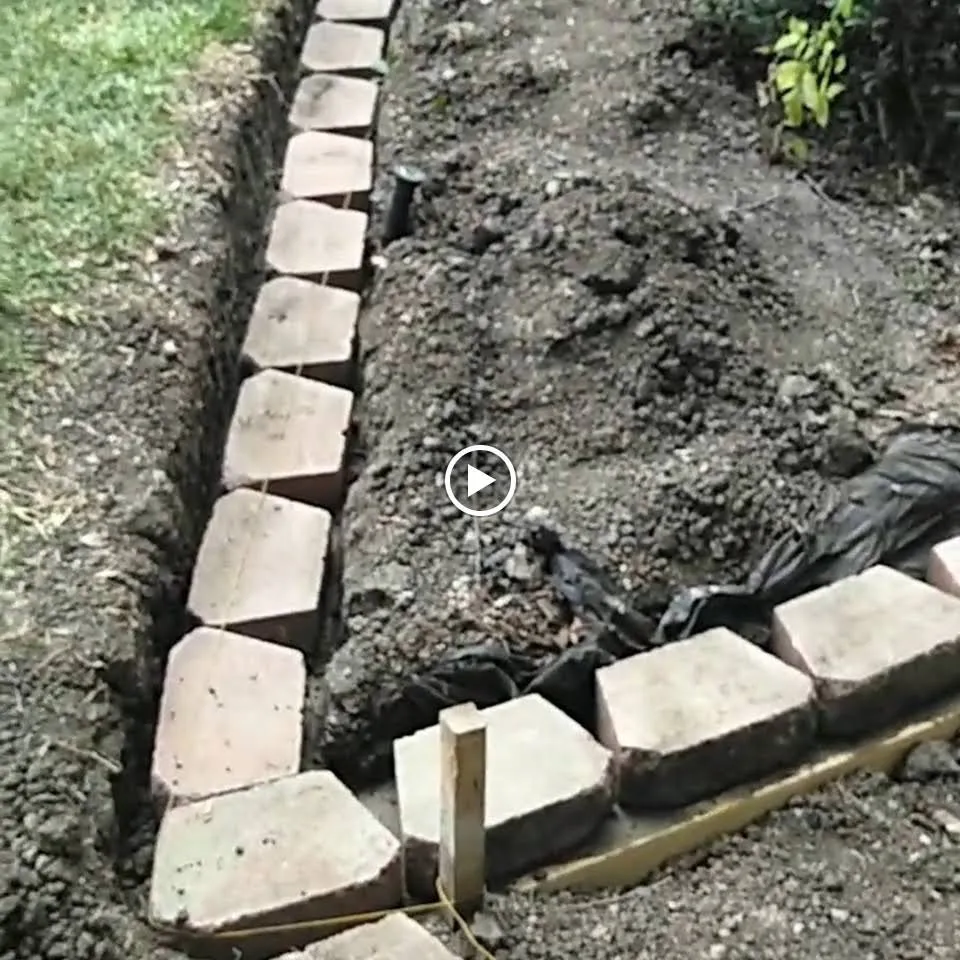 Local lawn mowing service in Dallas, TX by Frank Irrigation & Landscaping