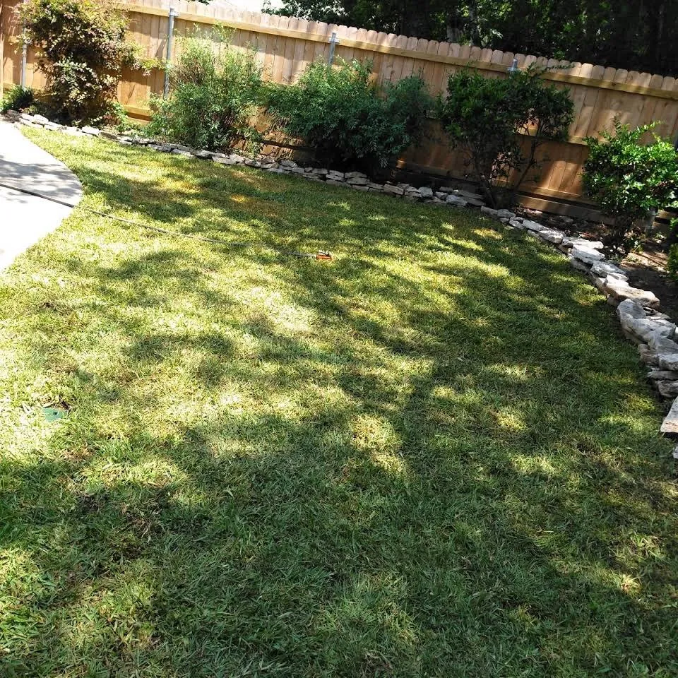 Trusted yard cleanup service experts serving Dallas, TX - Frank Irrigation & Landscaping