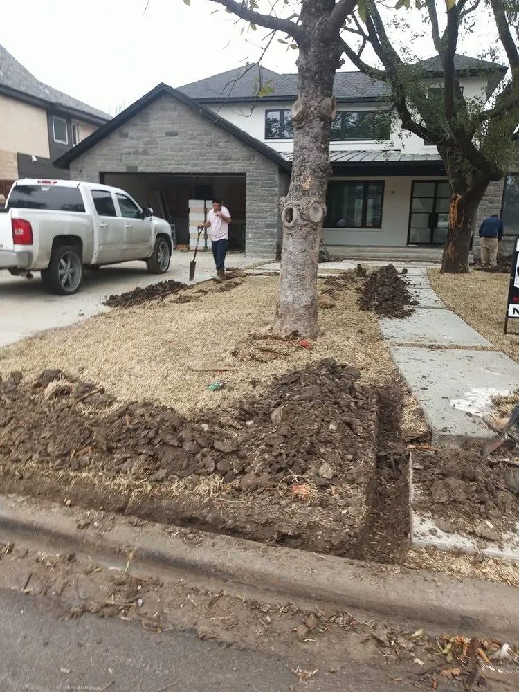 Custom lawn mowing service near you in Dallas, TX by Frank Irrigation & Landscaping