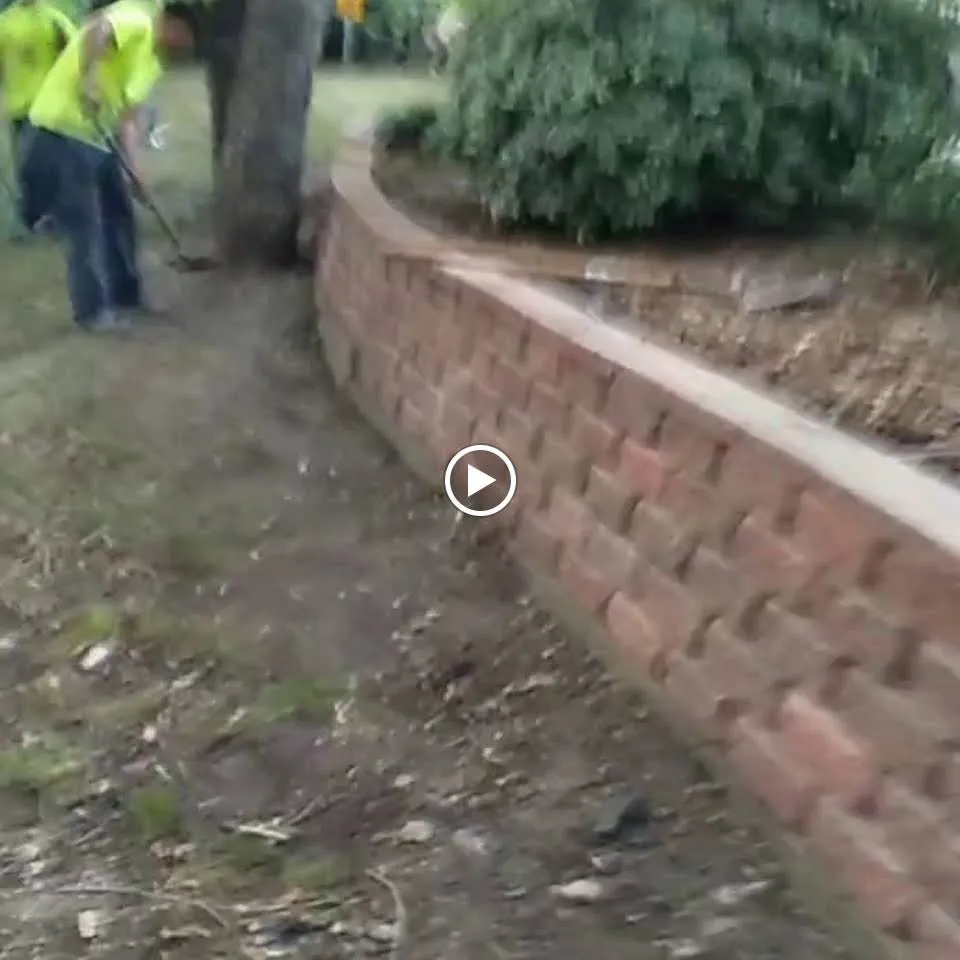 Top-rated garden landscaping experts serving Dallas, TX - Frank Irrigation & Landscaping