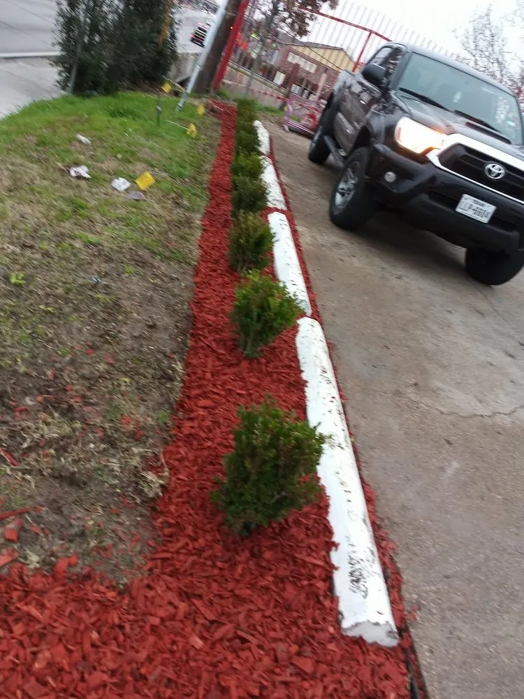 Professional lawn care service for residential properties in Dallas, TX by Frank Irrigation & Landscaping