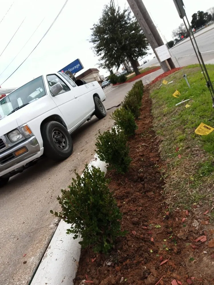 Trusted outdoor landscaping near you across Dallas, TX - Frank Irrigation & Landscaping